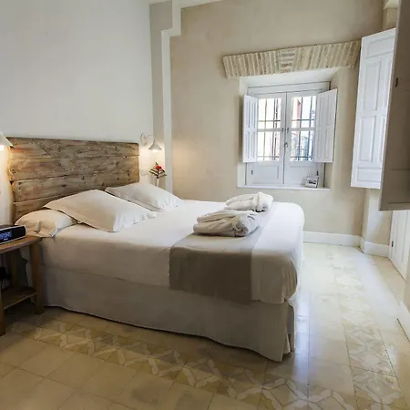 Hotel Boutique Elvira Plaza Siviglia